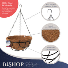 Load image into Gallery viewer, Ridgmont Wire Hoop Hanging Basket with Coconut Liner 30cm (12in)